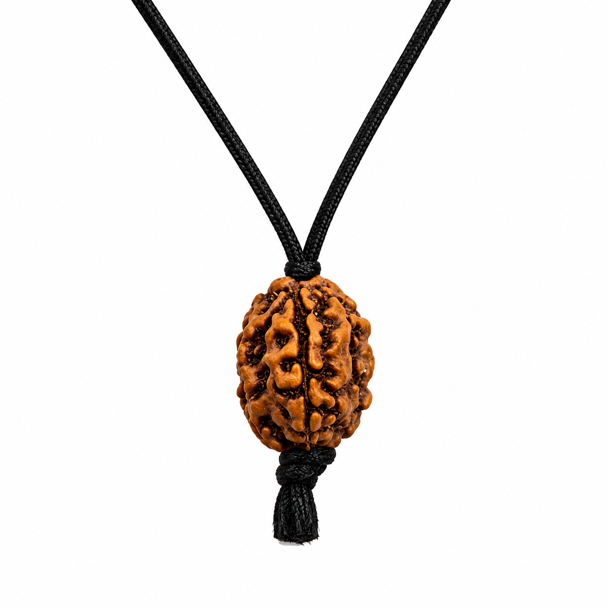 Rudraksha (Java) à 3 yeux (Java) et équilibré le feu intérieur