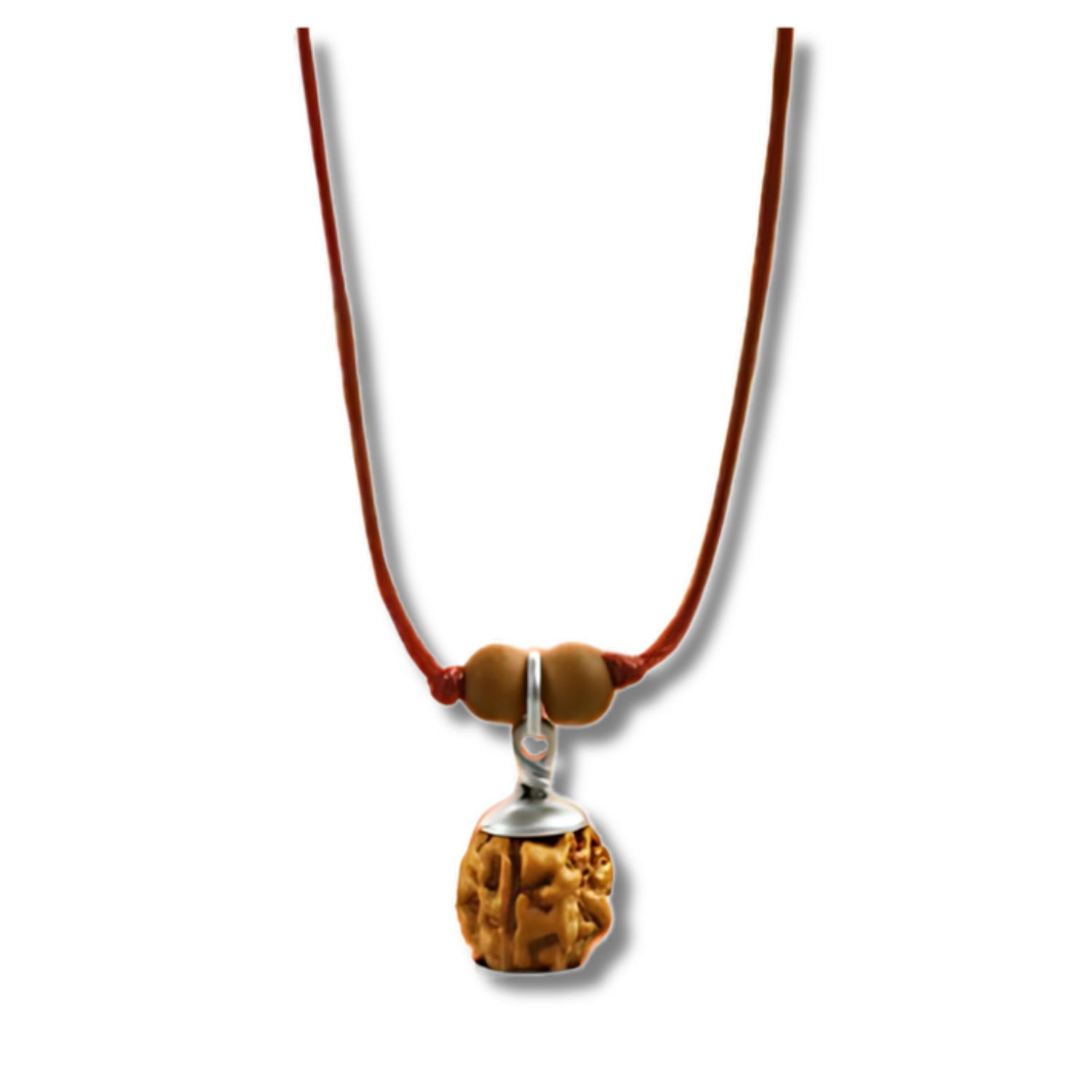 Rudrakshas à 3 yeux