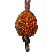 3 -eyes Rudraksha (Nepal) - activated and balanced the inner fire