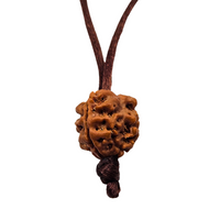 3 -Eyes Rudraksha (Nepal) - Activado y equilibrado el fuego interno