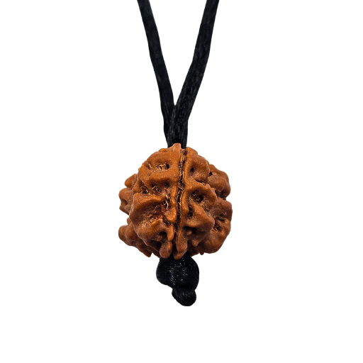 3 -Eyes Rudraksha (Nepal) - Activado y equilibrado el fuego interno