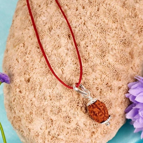 Rudraksha (Java) à 3 yeux (Java) et équilibré le feu intérieur