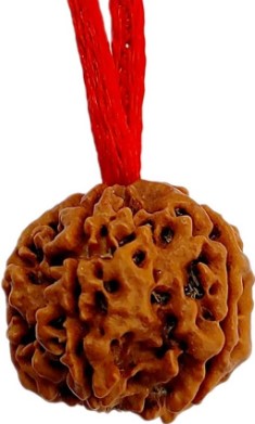 5 -eyes Rudraksha (Java) - balances the five elements