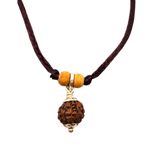 5 -Eyes Rudraksha (Java) - equilibra los cinco elementos