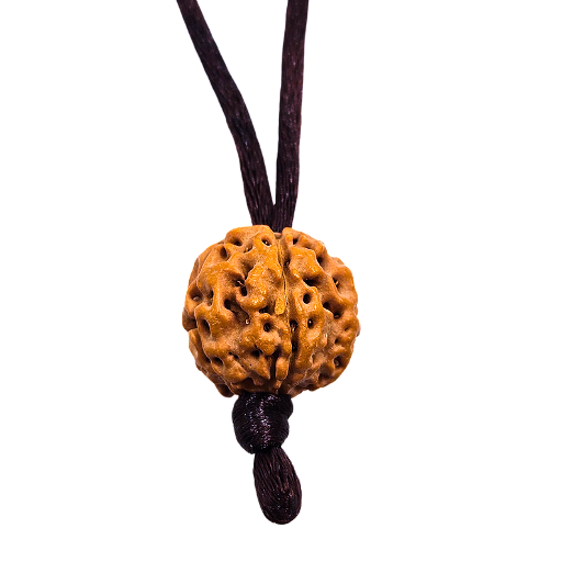 5 -Eyes Rudraksha (Java) - equilibra los cinco elementos