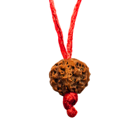 5 -Eyes Rudraksha (Java) - equilibra los cinco elementos