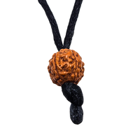 5 -Eyes Rudraksha (Java) - equilibra los cinco elementos