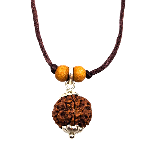 5 -Eyes Rudraksha (Nepal) - Equilibró los cinco elementos