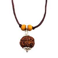 5 -Eyes Rudraksha (Nepal) - Equilibró los cinco elementos