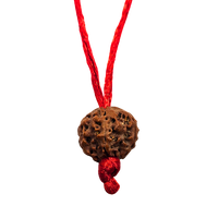 5 -Eyes Rudraksha (Nepal) - Equilibró los cinco elementos