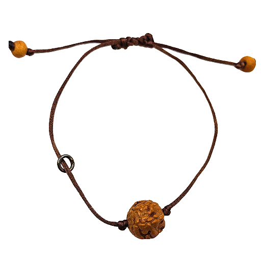 6-Eyes Ruddraksha (Java)-aumenta la confianza, la fuerza de voluntad y protege contra el dolor secular