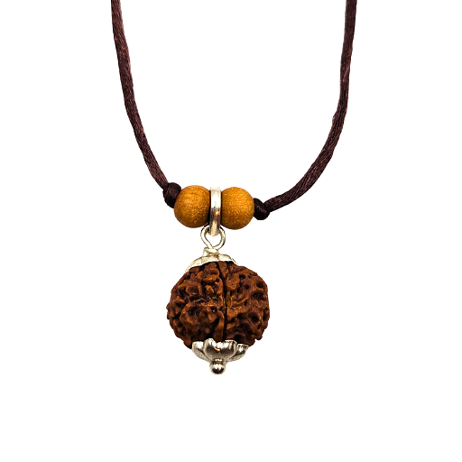6 -Eye Rudraksha - (Nepal) - Aumenta la confianza, la fuerza de voluntad y protege contra el dolor secular