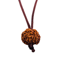 6 -Eye Rudraksha - (Nepal) - Aumenta la confianza, la fuerza de voluntad y protege contra el dolor secular