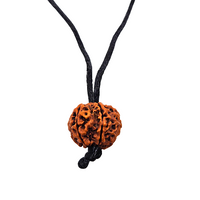 6 -Eye Rudraksha - (Nepal) - Aumenta la confianza, la fuerza de voluntad y protege contra el dolor secular