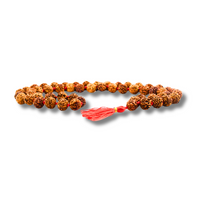 7 ojos Rudraksha Lakshmi Mala