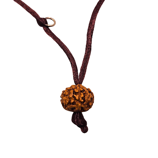 7-Eye Rudraksha (Java)-Para más abundancia, riqueza y ligereza