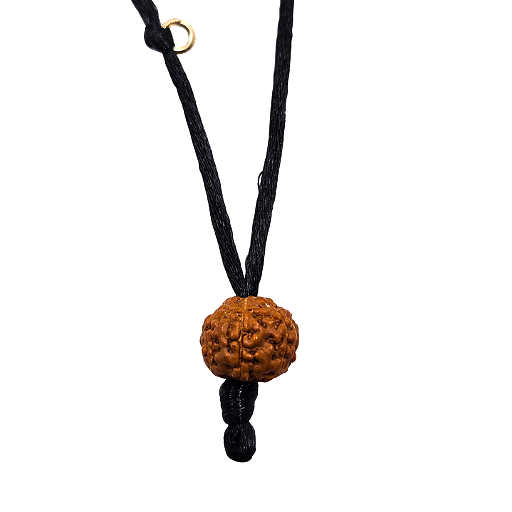 7-Eye Rudraksha (Java)-Para más abundancia, riqueza y ligereza