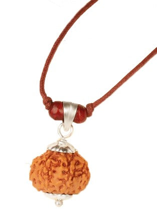7-Eye Rudraksha (Java)-Para más abundancia, riqueza y ligereza