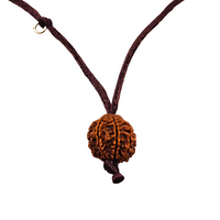 7-œil Rudraksha (Népal) - Pour plus d'abondance, de richesse et de légèreté