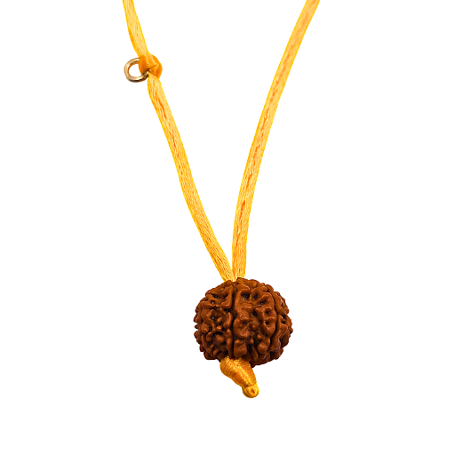 7-œil Rudraksha (Népal) - Pour plus d'abondance, de richesse et de légèreté
