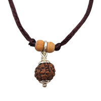 Rudraksha (Java) 8-ojo-elimina obstáculos, transforma la negatividad