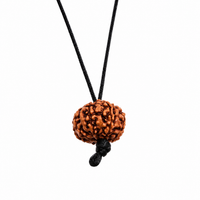 Rudraksha (Java) 8-ojo-elimina obstáculos, transforma la negatividad