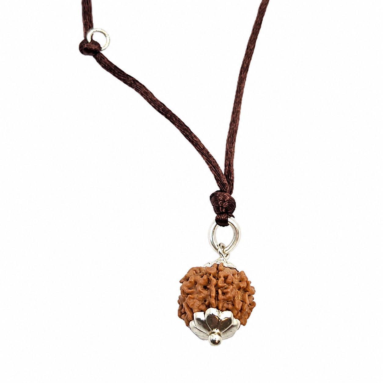 8-Augen-Rudraksha (Nepal) - Beseitigt Hindernisse, transformiert Negativität