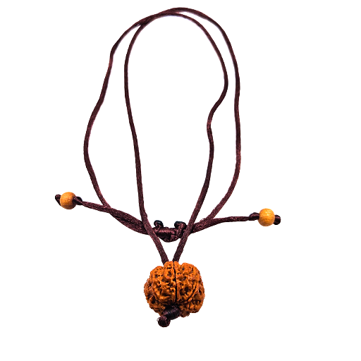 8-Augen-Rudraksha (Nepal) - Beseitigt Hindernisse, transformiert Negativität