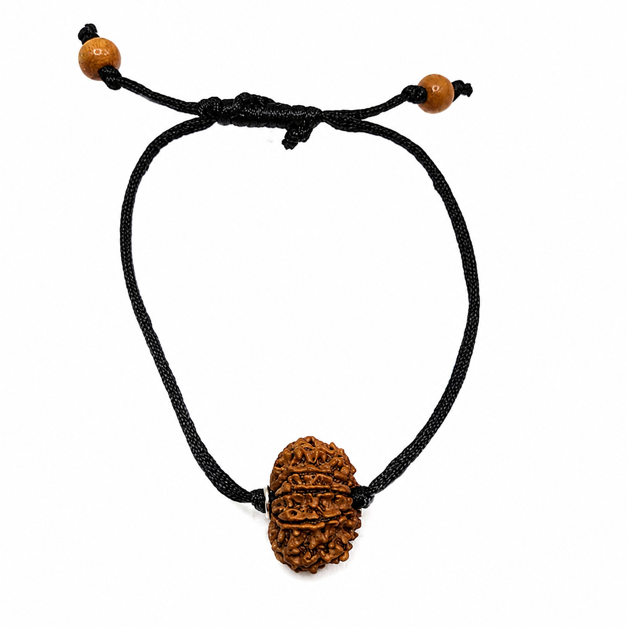 9-Eye Rudraksha (Nepal) -Por Freefrey Inner y Percepción Supernatural