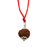 9-Eye Rudraksha (Nepal) -Por Freefrey Inner y Percepción Supernatural