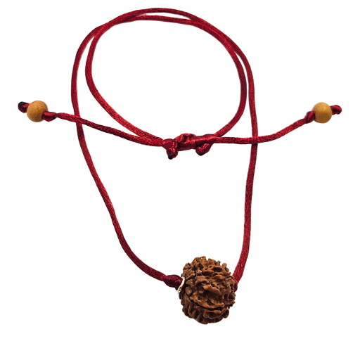 9-Eye Rudraksha (Nepal) -Por Freefrey Inner y Percepción Supernatural
