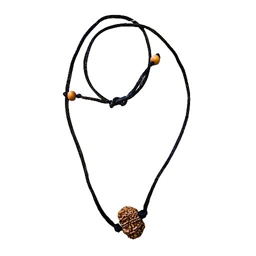 Rudraksha (Népal) à 9 yeux pour la force intérieure et la perception surnaturelle