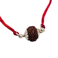 9 -Eyes Rudraksha (Java) - Para la fuerza interior y la percepción sobrenatural