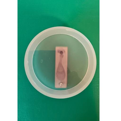 Resona 0.1 – Energetisches Testgerät für Kinesiologie