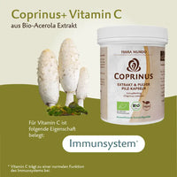 Bio Coprinus – Hochwertiger Vitalpilz mit natürlichem Vitamin C
