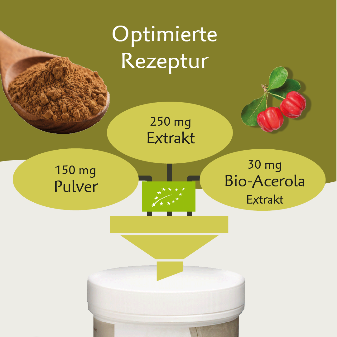 Bio Coprinus – Hochwertiger Vitalpilz mit natürlichem Vitamin C