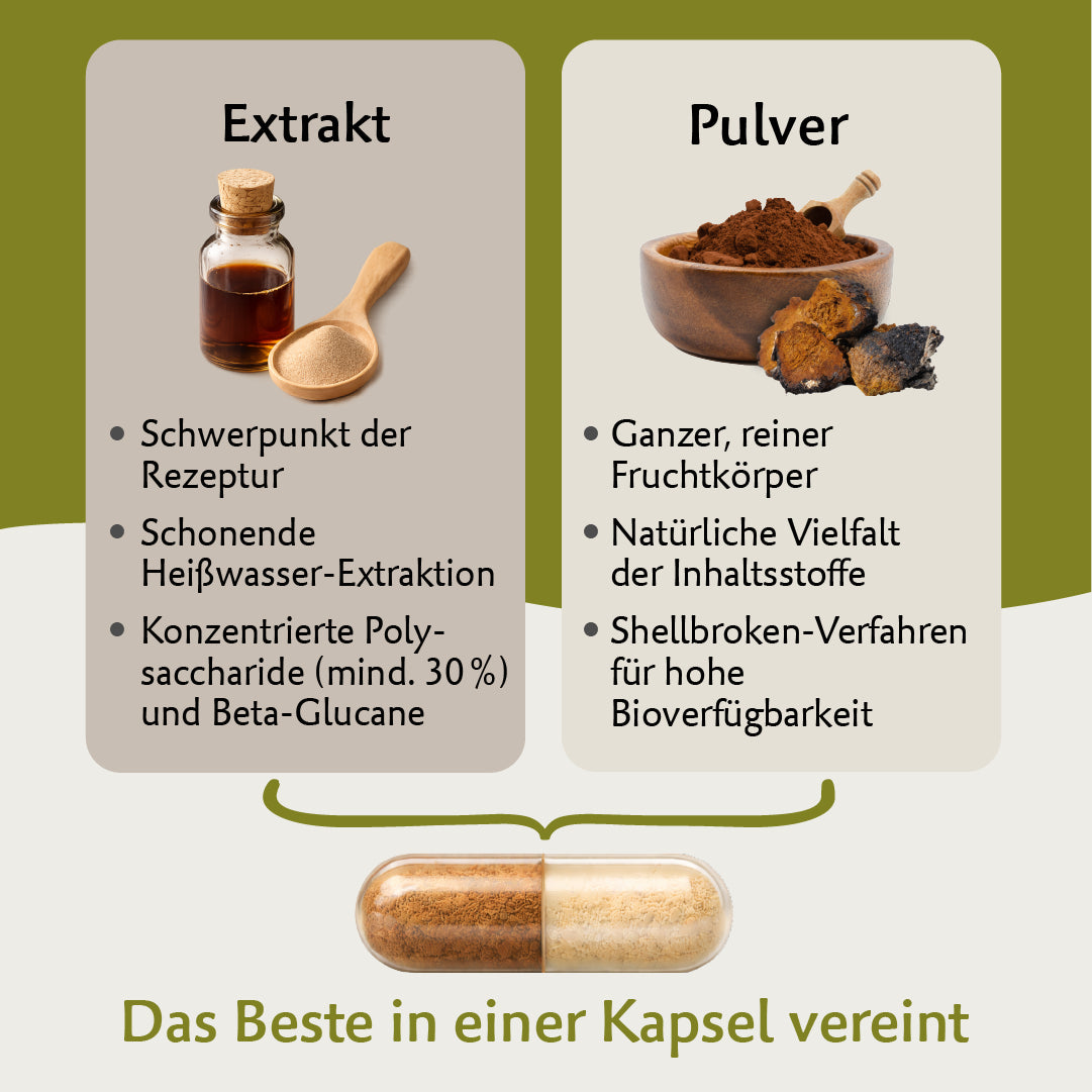 Bio Coprinus – Hochwertiger Vitalpilz mit natürlichem Vitamin C