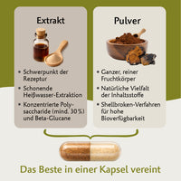 Bio Coprinus – Hochwertiger Vitalpilz mit natürlichem Vitamin C