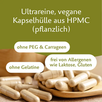Bio Coprinus – Hochwertiger Vitalpilz mit natürlichem Vitamin C