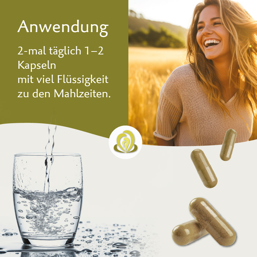 Bio Coprinus – Hochwertiger Vitalpilz mit natürlichem Vitamin C