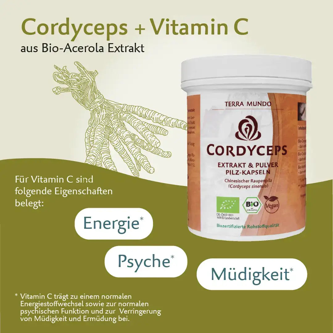 Bio Cordyceps – Hochwertiger Vitalpilz mit natürlichem Vitamin C