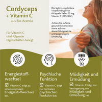 Bio Cordyceps – Hochwertiger Vitalpilz mit natürlichem Vitamin C