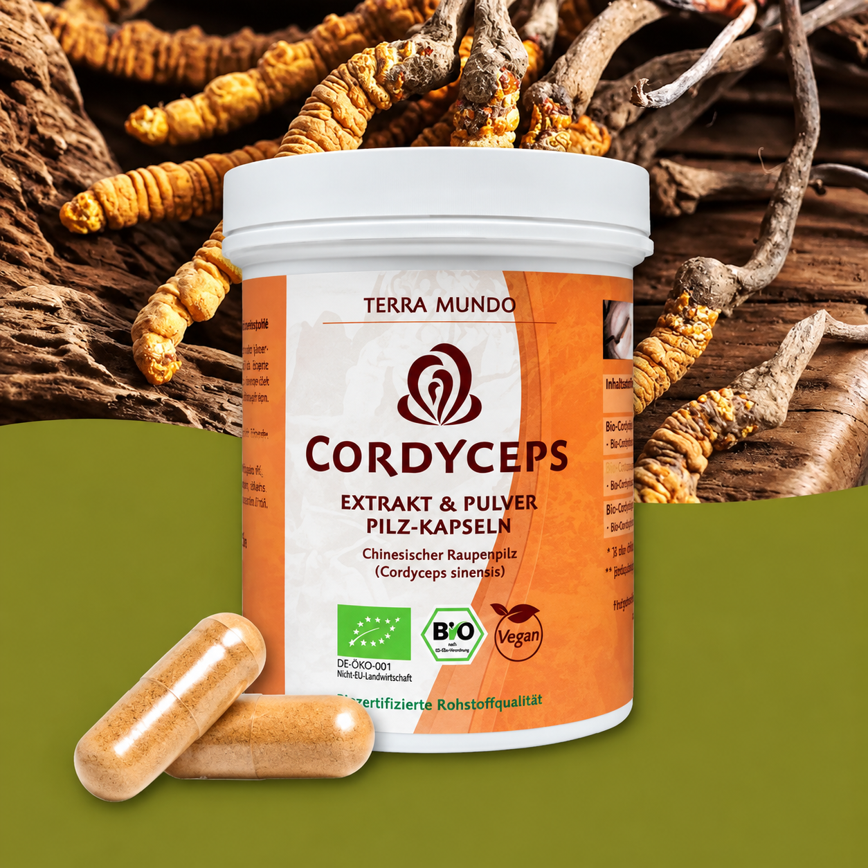 Bio Cordyceps – Hochwertiger Vitalpilz mit natürlichem Vitamin C