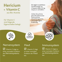 Bio Hericium – Hochwertiger Vitalpilz mit natürlichem Vitamin C