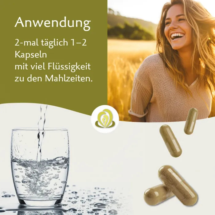 Bio Hericium – Hochwertiger Vitalpilz mit natürlichem Vitamin C