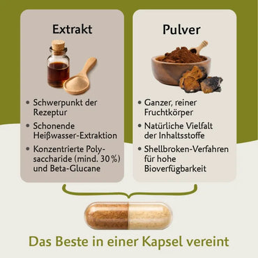 Bio Hericium – Hochwertiger Vitalpilz mit natürlichem Vitamin C