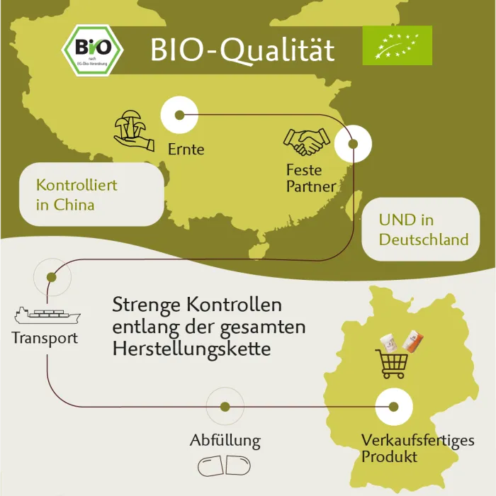 Bio Hericium – Hochwertiger Vitalpilz mit natürlichem Vitamin C