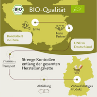 Bio Hericium – Hochwertiger Vitalpilz mit natürlichem Vitamin C