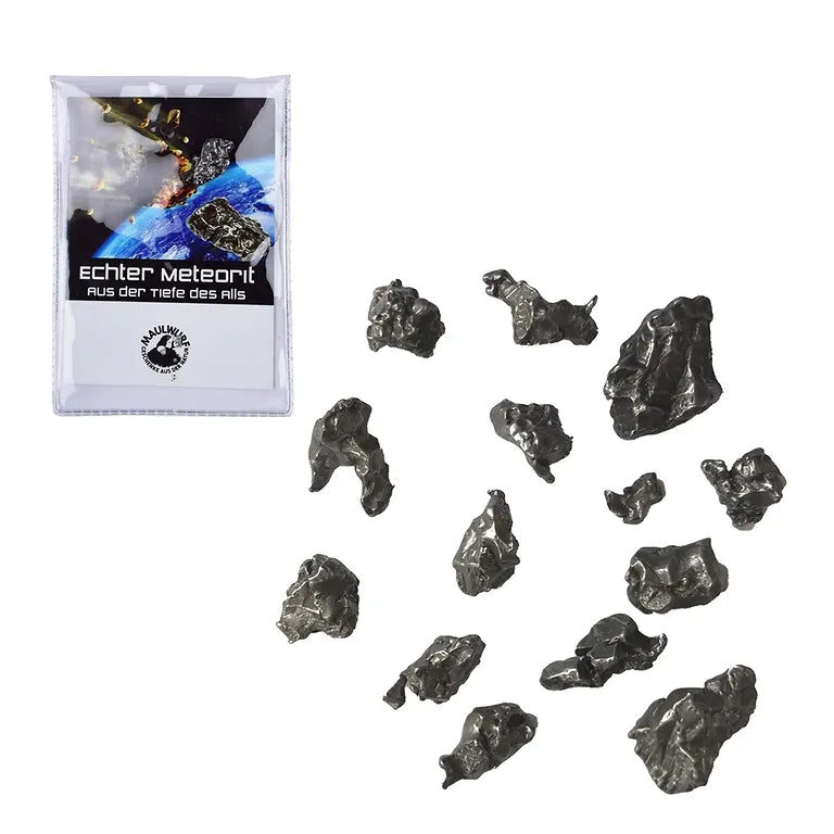 Echte Campo del Cielo Meteoriten