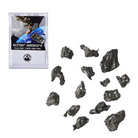 Echte Campo del Cielo Meteoriten